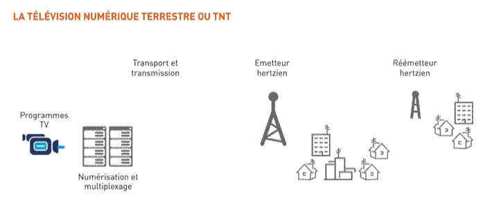 tnt